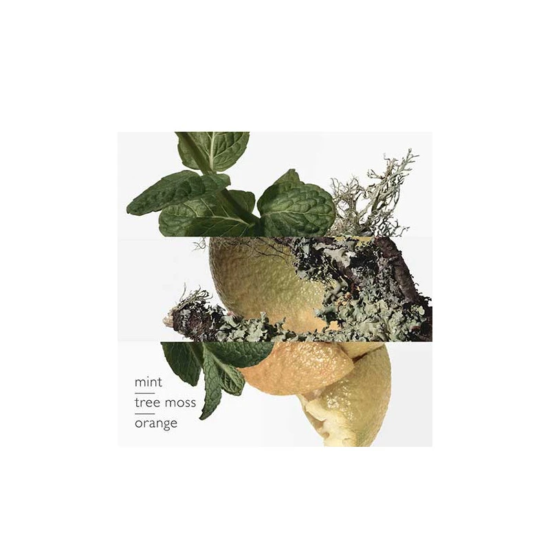 HermĂšs Eau D'orange Verte - Eau De Cologne â Image 3