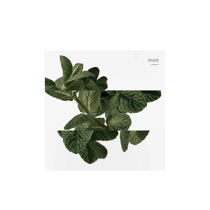 HermĂšs Eau D'orange Verte - Eau De Cologne â Image 7