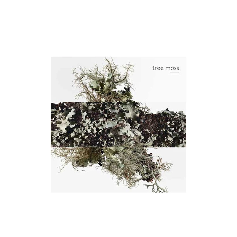 HermĂšs Eau D'orange Verte - Eau De Cologne â Image 8