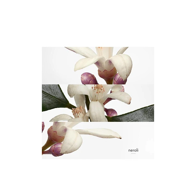 Hermès Eau De Néroli Doré - Eau De Cologne – Image 3