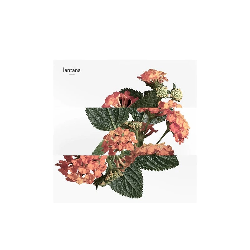 Hermès Eau De Rhubarbe écarlate - Eau De Cologne – Image 4