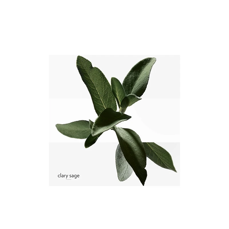 Hermès H24 - Eau De Toilette – Image 4