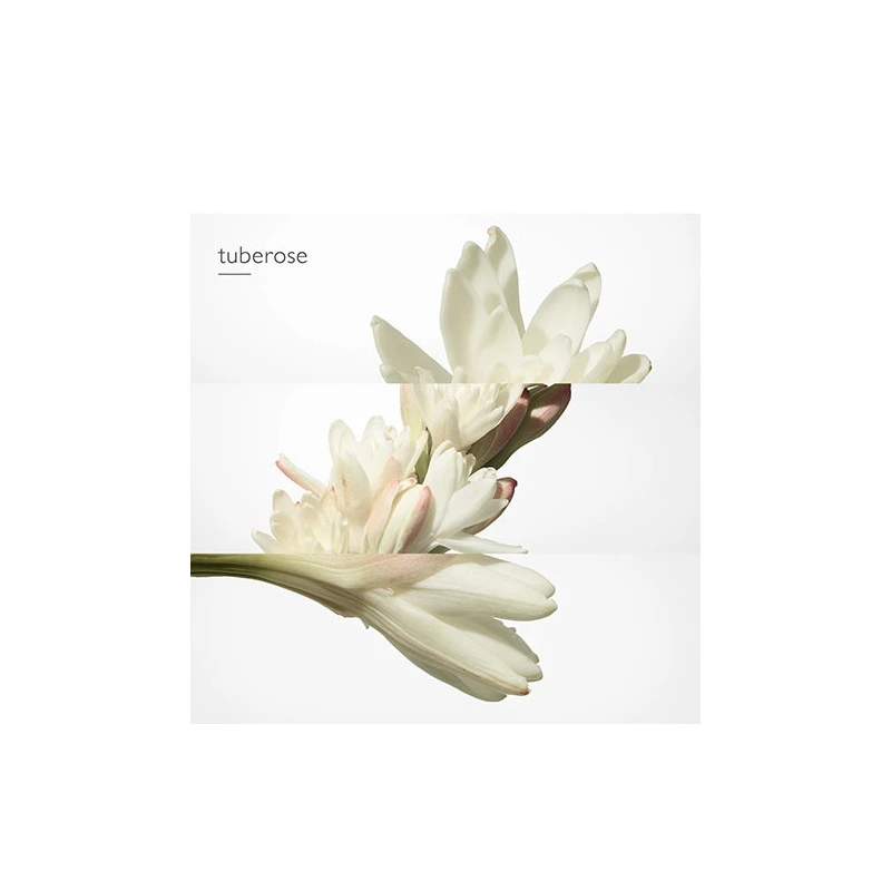 Twilly D'HermĂšs - Eau De Parfum â Image 4