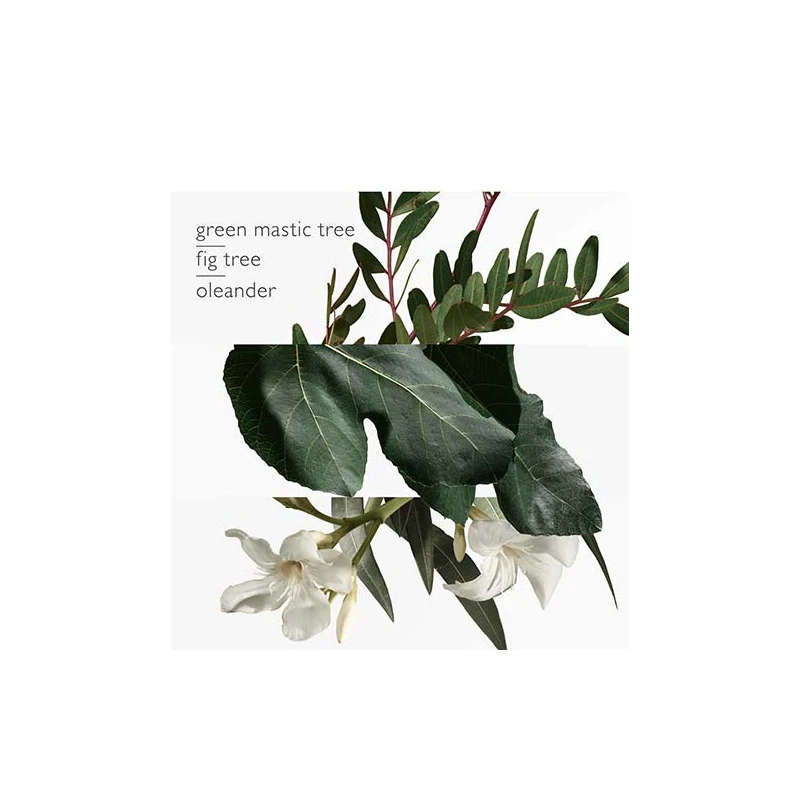 Hermès Un Jardin En Méditerranée - Eau De Toilette – Image 3