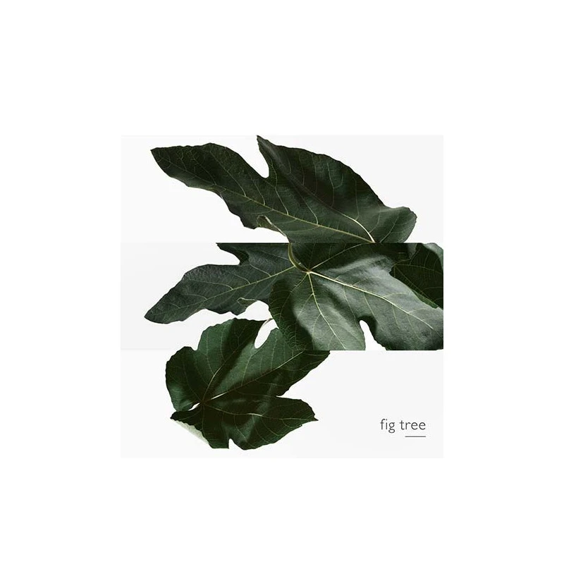 Hermès Un Jardin En Méditerranée - Eau De Toilette – Image 4