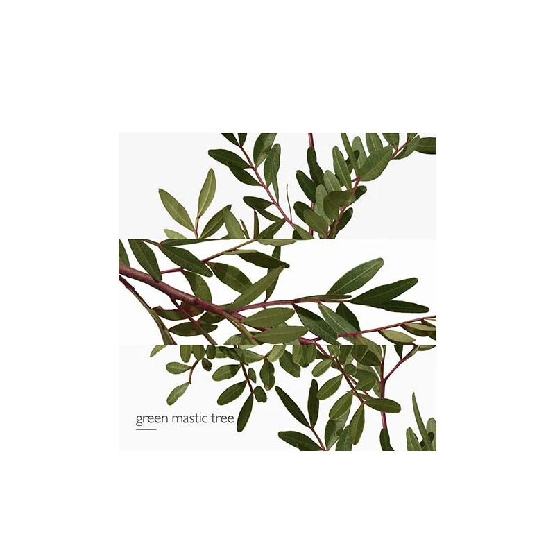 Hermès Un Jardin En Méditerranée - Eau De Toilette – Image 5