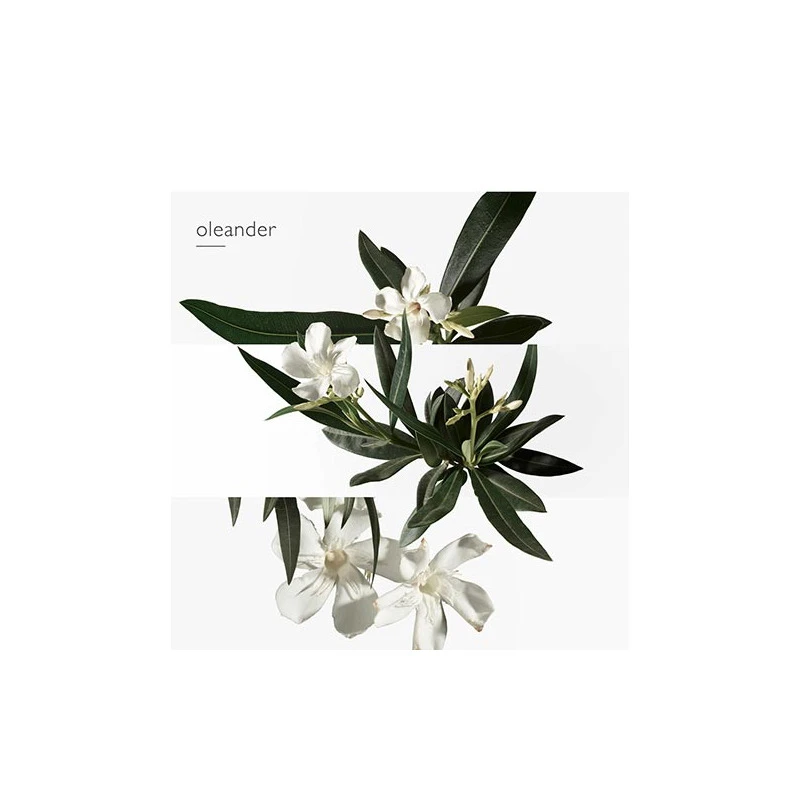 Hermès Un Jardin En Méditerranée - Eau De Toilette – Image 6